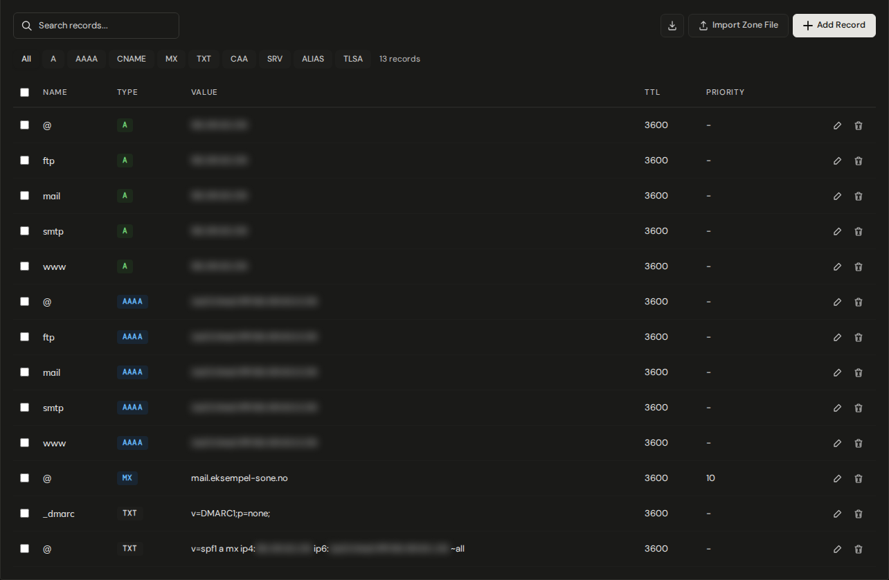DNS Records tab with search, type filters and the zone file buttons